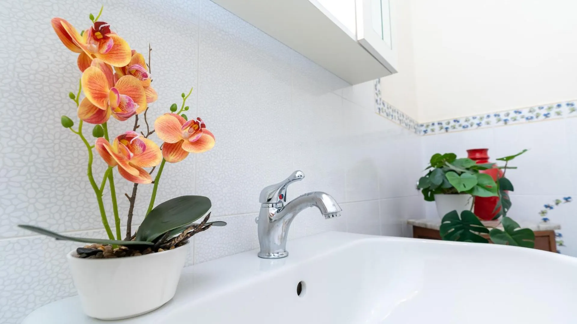 Vacation Villa With 3 Separate Apartments And Private Parking Marina di Pietrasanta